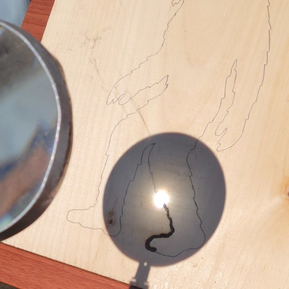 SunFunArt Black Bear & claw rustic unique wood burning light switch plate. NEW! - Picture 4 of 4